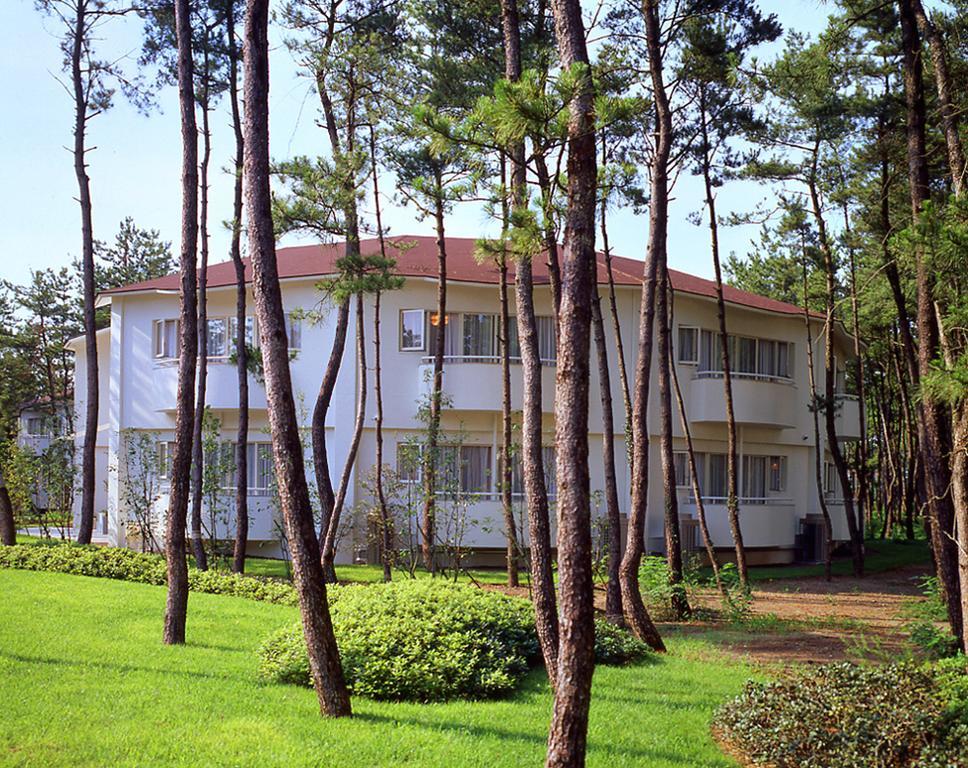 Cottage Himuka Miyazaki Rom bilde
