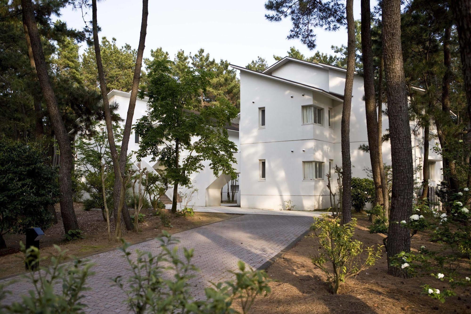 Cottage Himuka Miyazaki Eksteriør bilde